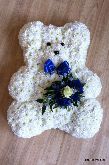 Blue Teddy