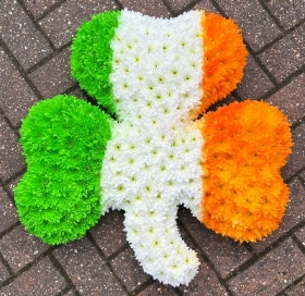 Irish Shamrock